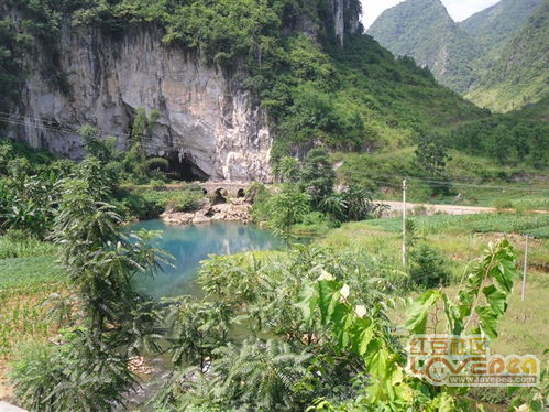 美丽神奇的活旺河 