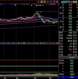 600579 后市如何