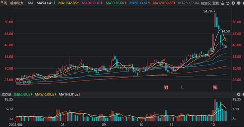 上市公司一般都有多少股股票？其多少股股票又是如何设定的？