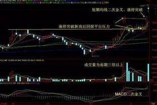 如何判断均线+macd八种方法