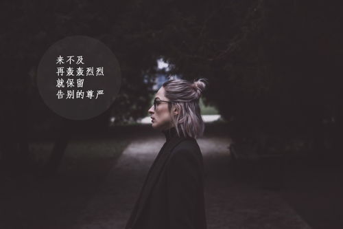 浅忆尘风许我尘埃落定的句子