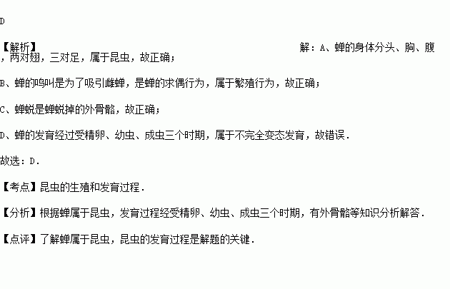 下列关于蝉的叙述不正确的是?A属于膜翅目昆虫B蝉脱可入药C没有蛹期D属于完全变态发育