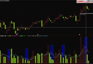 通达信股票软件，有没有哪个付费版本是可以看15秒股票的周期图的？