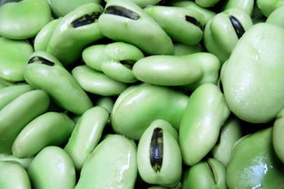 春季最不能错过的6种豆 健脑 清肠 抗菌 它们有一手