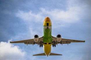 坐飞机一定要买航空意外险和延误险吗