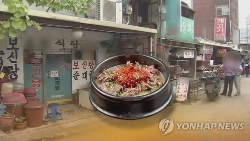 出台法令禁食狗肉 韩国政府态度坚决