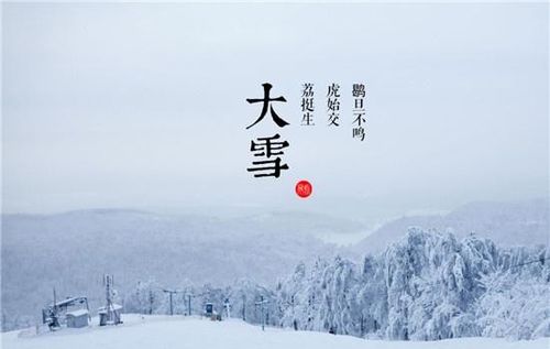 关于雪的诗句佳段好句