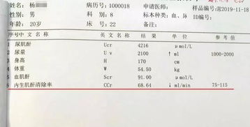 壁虎医生 比血肌酐更准确的3项肾功能指标,你知道吗