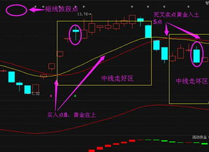 分时图的。均线。和分时是什么意思