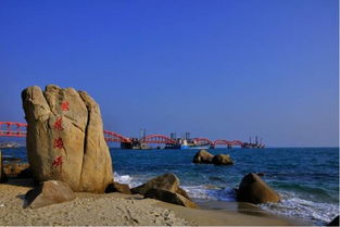 11月26日深圳户外探险联盟第五届海滨栈道20km公益徒步开始报名啦 