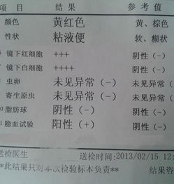 硕博课程版查重报告-清晰呈现查重结果