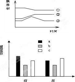 DNA、RNA、ATR和核苷酸中的A的含义是什么？