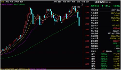 创业板指数池里的股票是什么股票