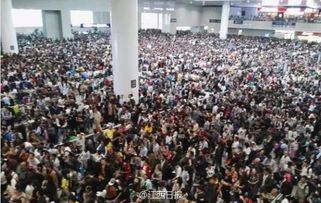 国庆各地交通 堵塞车流 人挤人景点 你咋办 组图 