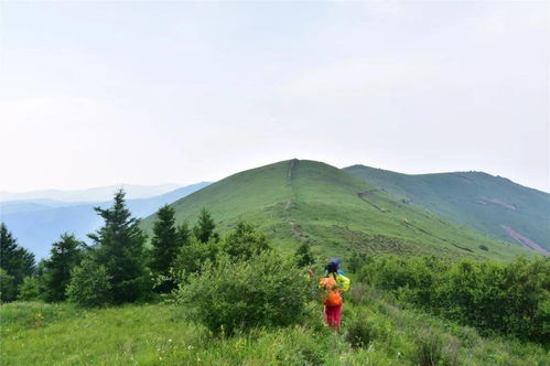 酷暑难耐,距北京不到200公里有一座山,不仅凉爽,简直是心旷神怡 娘子 