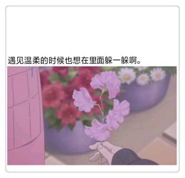 情感测试丨你一生桃花运势如何