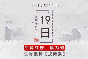 11月19日生肖运势 生肖猴学习运强