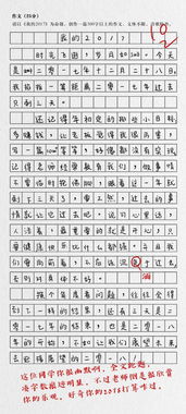 难忘的17年除夕作文300字 图片欣赏中心 急不急图文 Jpjww Com