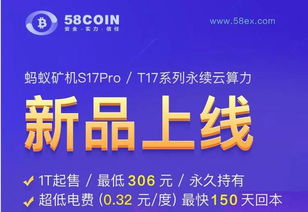 有谁知道58coin的云算力合约投资具体指的是什么？