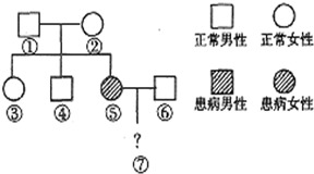 人类白化病是由a基因控制的隐性遗传病.如图为某家庭的白化病遗传情况.请分析回答. 1 白化病患者皮肤与毛发出现明显的白化现象.原因是体内缺少了正常基因A.这说明基因与性状的关系是 