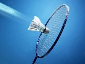 苏州羽毛球比赛时间 2023中国羽毛球公开赛赛程