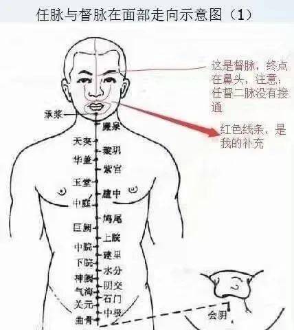 练任督通脉学可以打通任督二脉.还有小周天、大周天、道脉都能打通.对人能起到怎样的作用，请高手指点迷津！