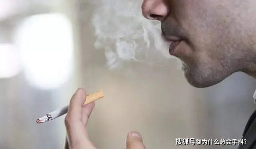 射入花心|把下面给你抽烂