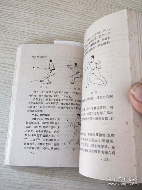 戳脚.pdf