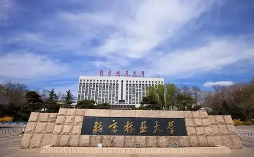 为了211去北京林业大学值吗(北京林业大学qs世界大学排名)