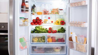 冰箱内存放食物的量占多少比较适宜