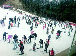 2023春节湖北有雪吗,2023武汉春节天气预报来了！速看！