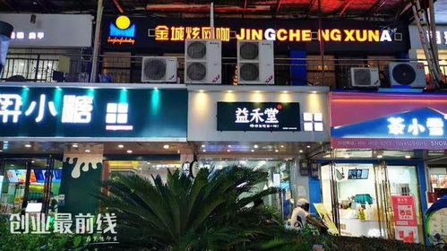 请问一家店总投资是八万我投资了二万我占的股份是多少?