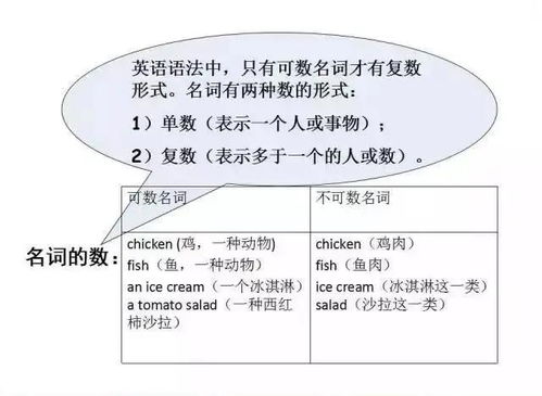 掌握了扎实的专业知识英文