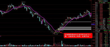 股票的技术指标很多都是根据以前的收盘价等股价来预测未来的走势，请问为什么可以预测呢