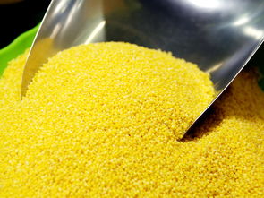 小米的营养价值及功效 小米的功效与作用