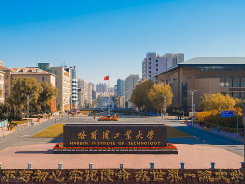 上海最坑人的211大学