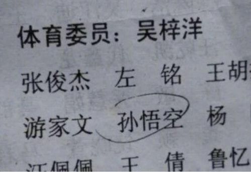 小学生因 姓名 走红,连名带姓才2笔,老师直呼名字太适合考试