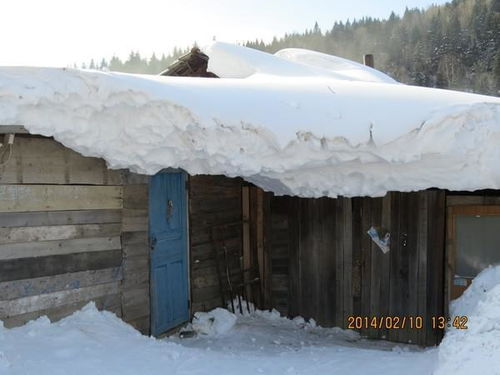 东北的冬天到底有几个月,要下多少场雪 