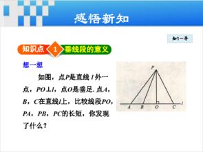 垂线的概念是什么