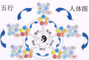 易德居风水堂 五行不全如何补 