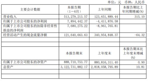 股份制公司的股东在公司上班该怎么给工资