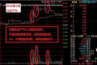 600336在尾盘快速拉升是什么意思，明天走势还能好吗？