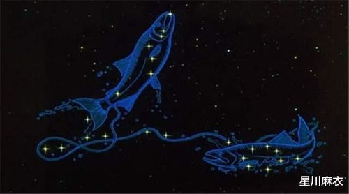 摩羯座唯一的软肋星座 十二星座的双鱼和摩羯座