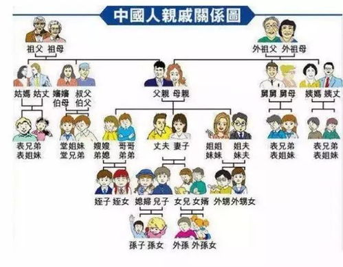 家族亲戚称呼大全 搜狗图片搜索