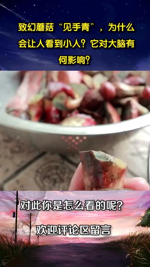 致幻蘑菇 见手青 ,为什么会让人看到小人 它对大脑有何影响 