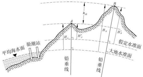 怎样测量弹跳高度的