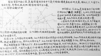 征收进口关税对贸易小国和大国的不同影响是什么 