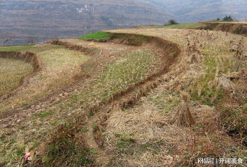 在农村里面我们的土地假如被邻居霸占了,那这个时候怎么办