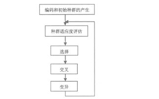 六 图形分割