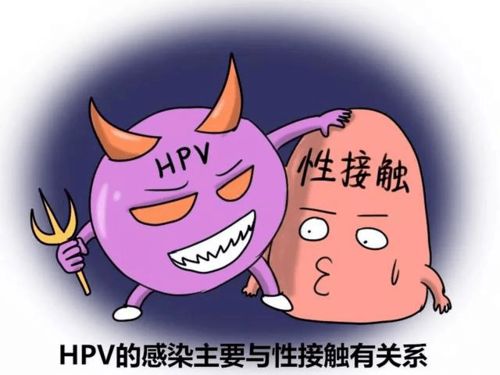 HPV感染一定是伴侣多和性生活不洁吗